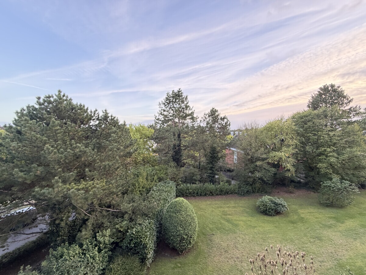 Blick ins Grüne