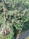 Hofblick