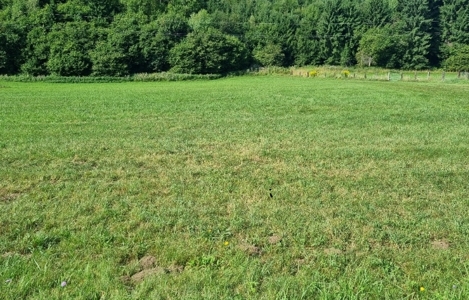 Baugrund Bild --