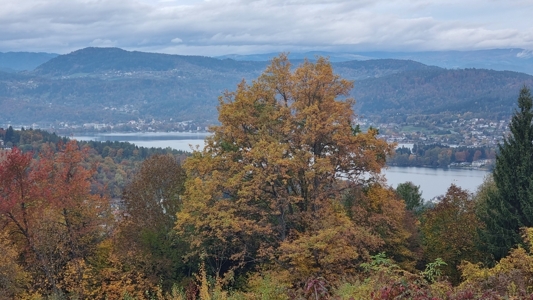 20251023_112744 conv