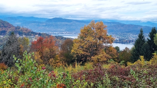 BLICK DIREKT VOM GRUND