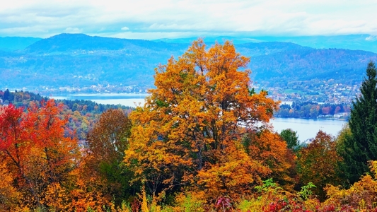 BLICK ZUM WÖRTHERSEE v. GRUND