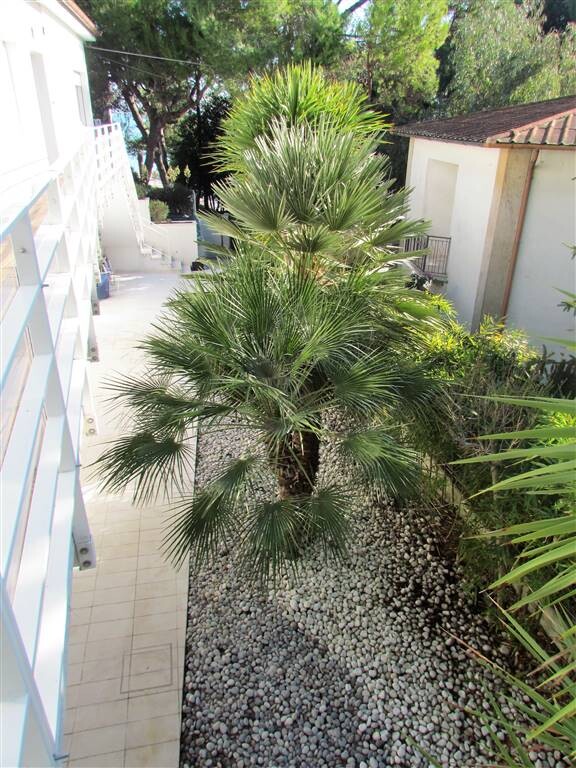 Appartamento a NUMANA — foto 13