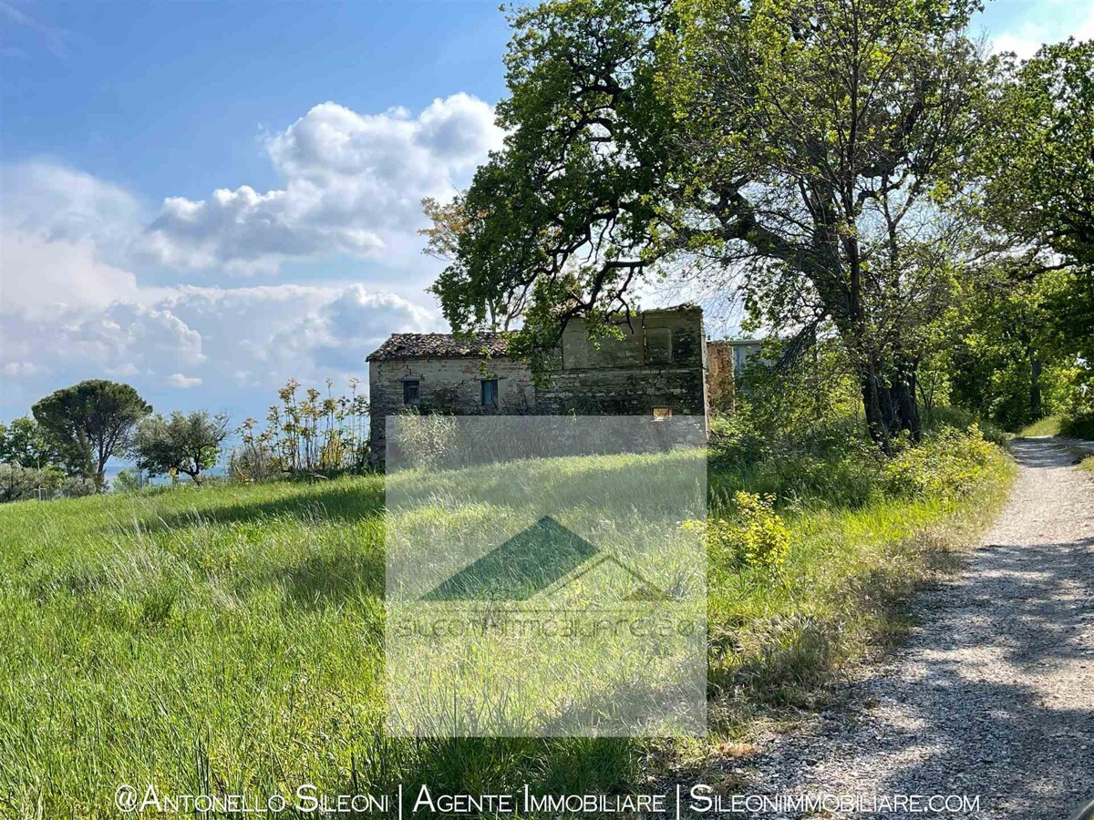 RUDERE IN VENDITA A POLLENZA — foto 9