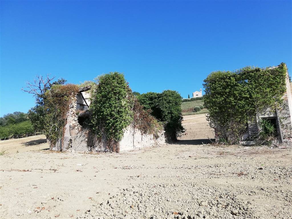 Casale o castello a RECANATI — foto 11