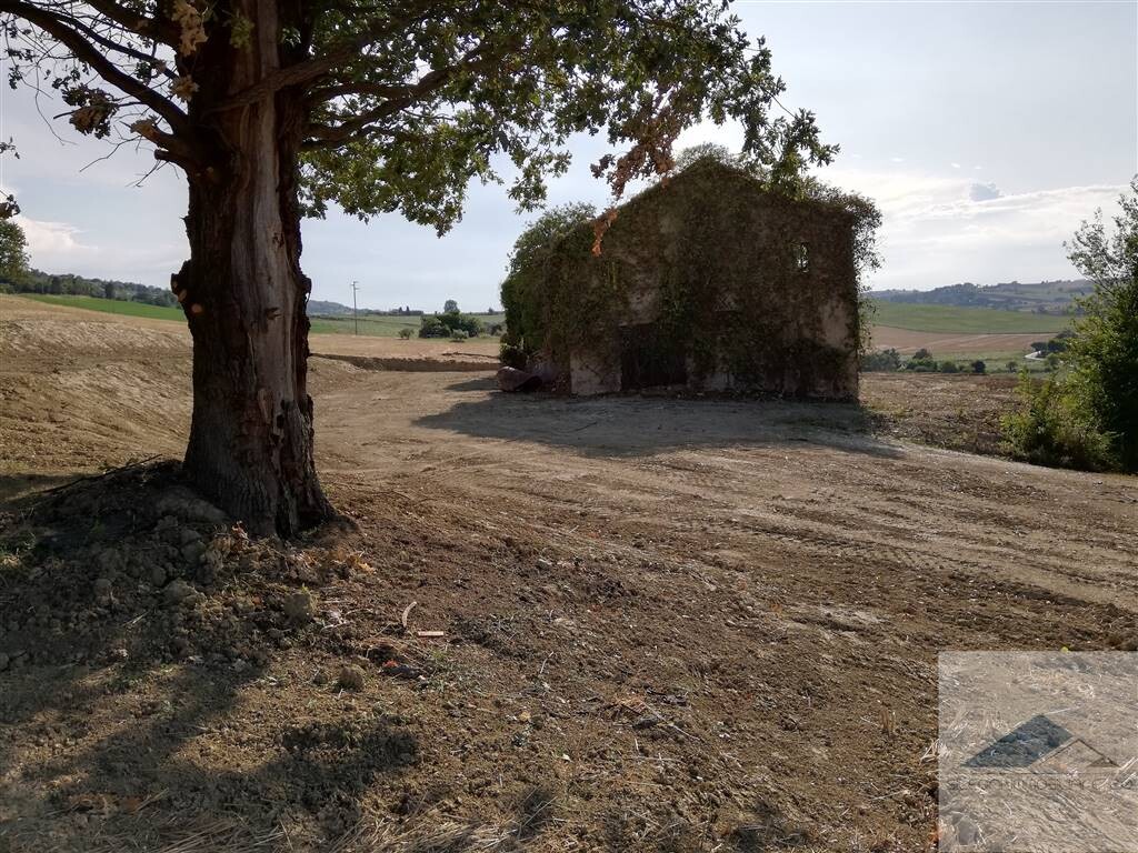 Casale o castello a RECANATI — foto 5