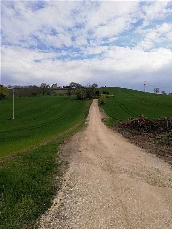 Casale o castello a RECANATI — foto 3