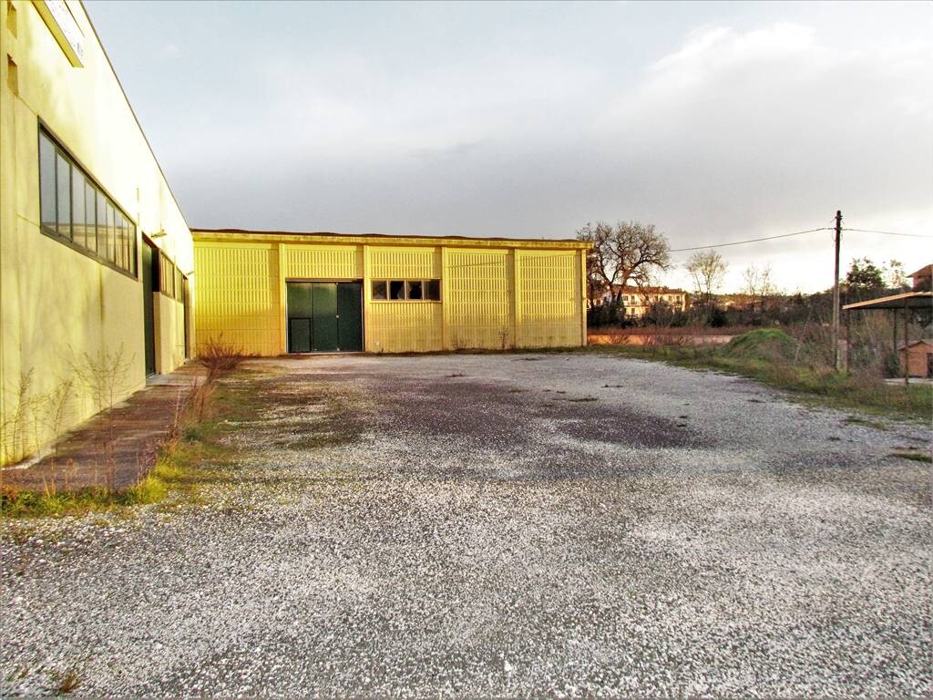 Capannone, magazzino o locale produttivo a LORETO — foto 4