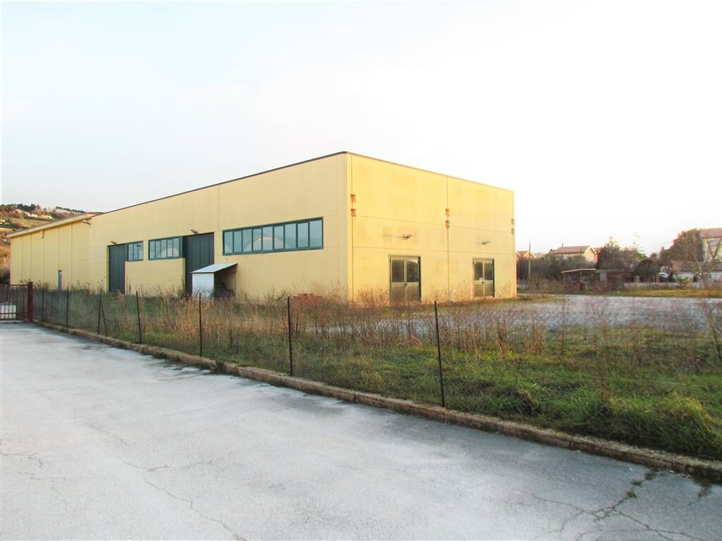 Capannone, magazzino o locale produttivo a LORETO — foto 6