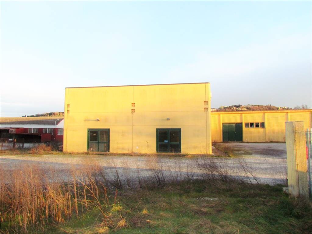 Capannone, magazzino o locale produttivo a LORETO — foto 5