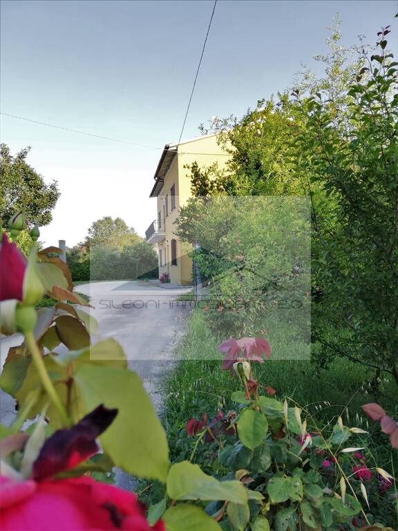 APPARTAMENTO AUTONOMO RISTRUTTURATO CON GARAGE — foto 12