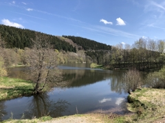 Umgebung Kronenburger See