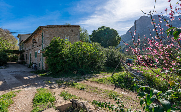 180 soller 011