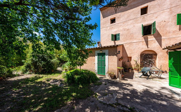 190 cami can guida 006