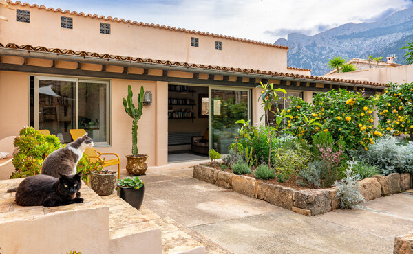 Ref 208 Soller 011