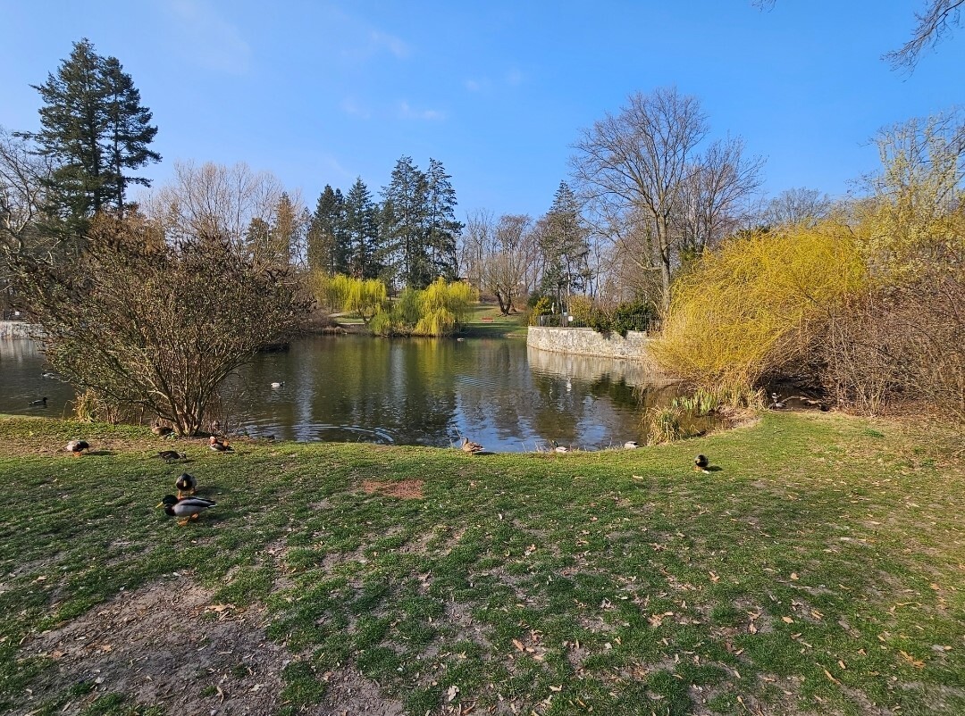 Gemeindepark Lankwitz