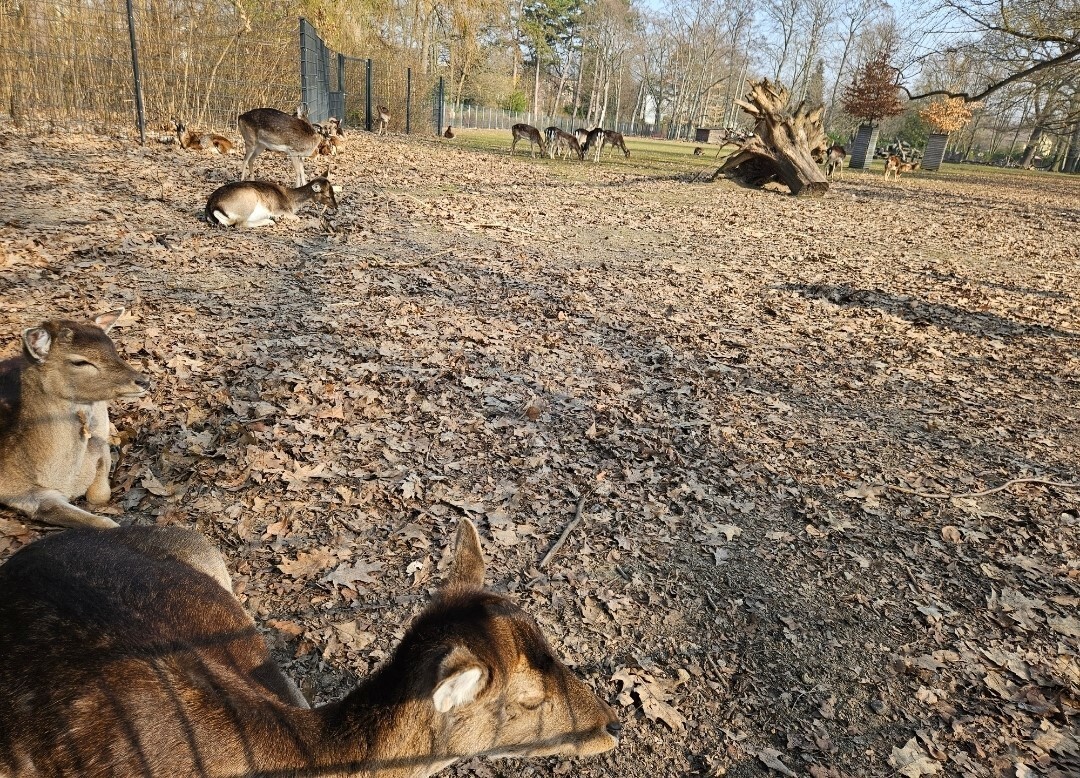 Impressionen