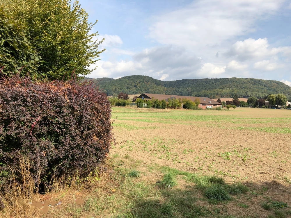 Rückseite mit Aldi