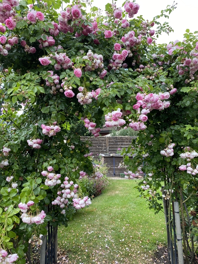 Impressionen