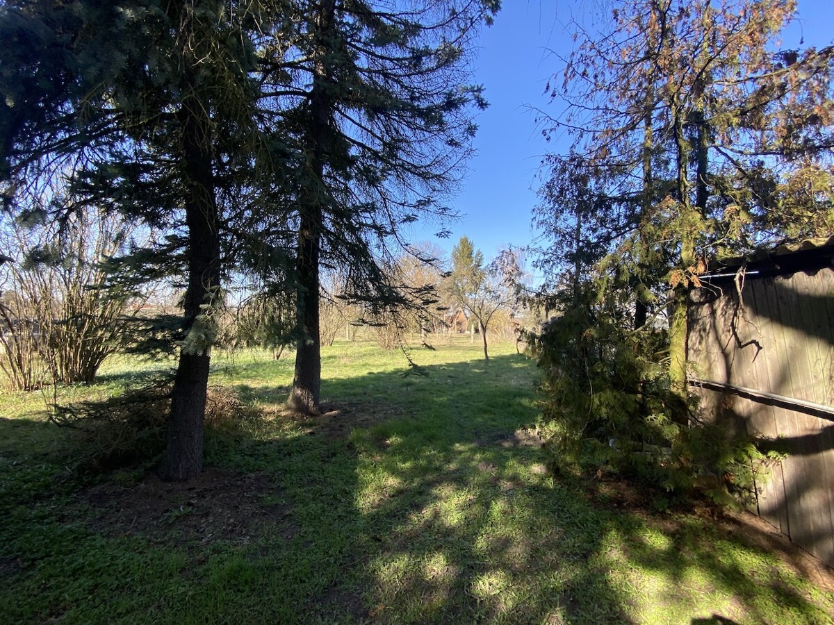 Garten mit Obstbäumen