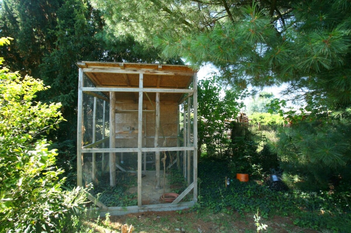 Garten mit Vogelkäfig