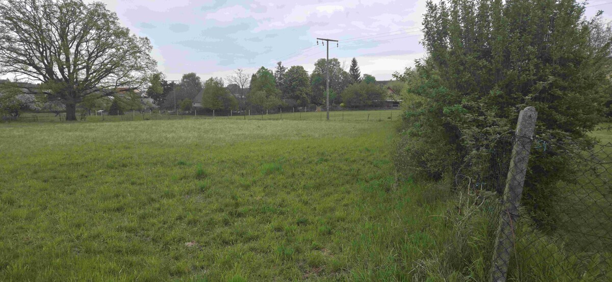 Ackerfläche_Malterhausen