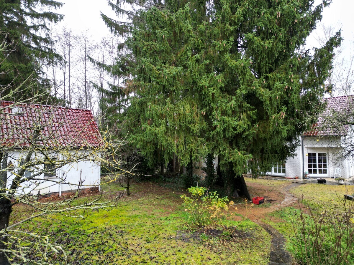 Gästehaus - Garten - Haus