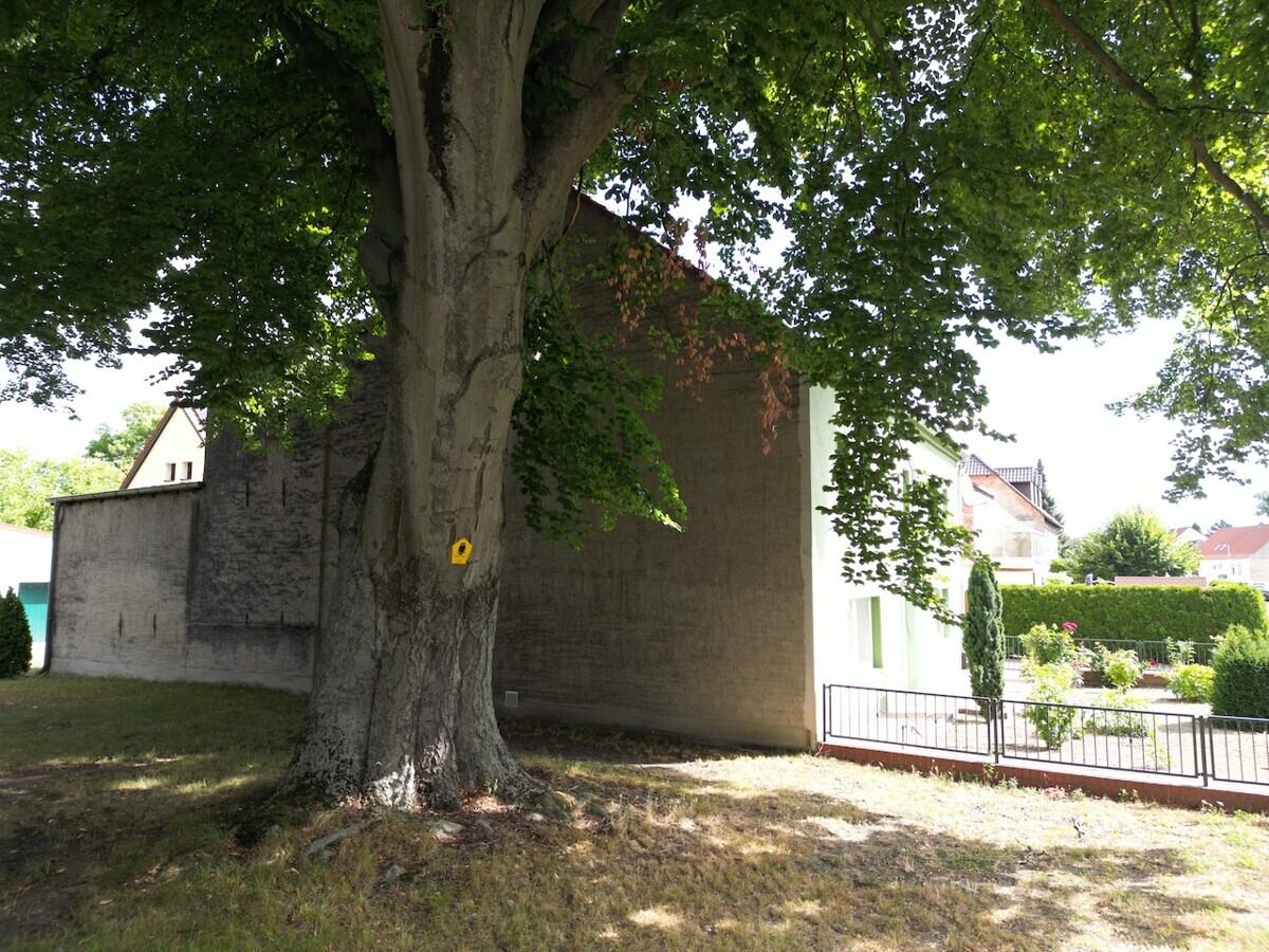 Kirchgarten mit Blick auf das Haus