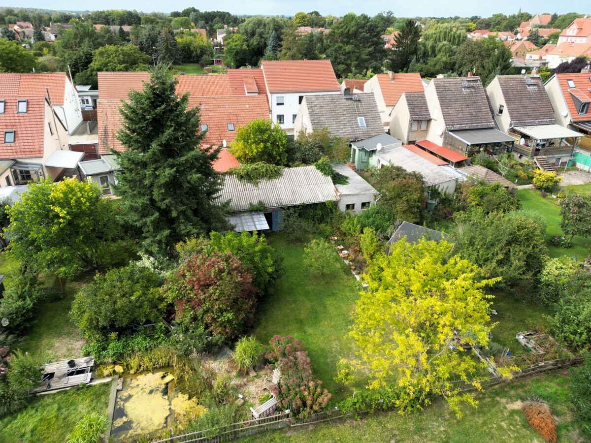 Garten_2