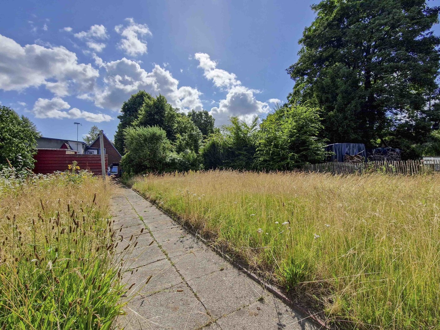 Garten / Wiese im hinteren Teil des Grundstücks