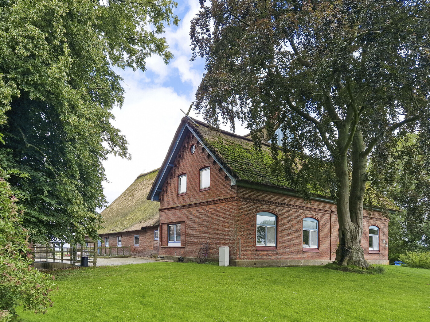 Westansicht