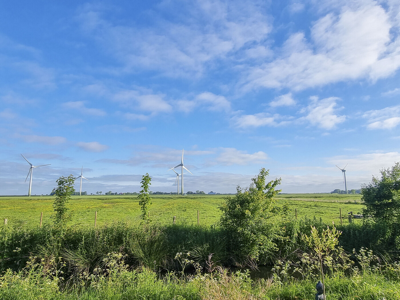 Blick über die Felder