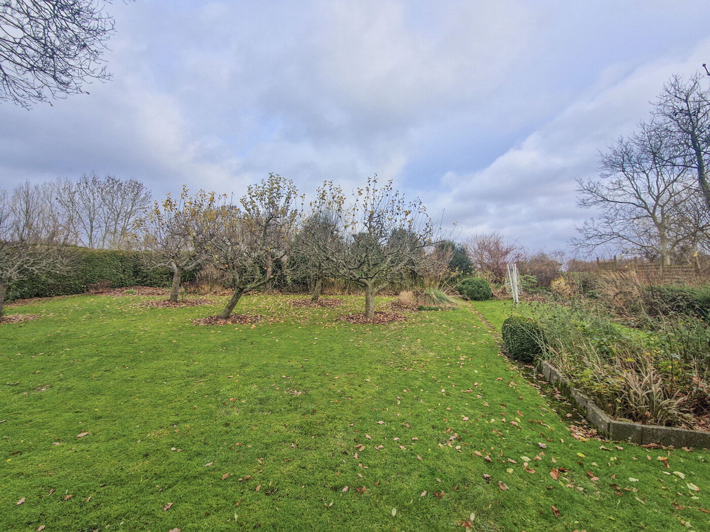 Garten mit Obstbaumbestand