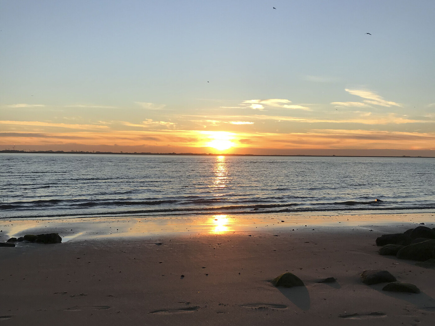 Brokdorfer Strand