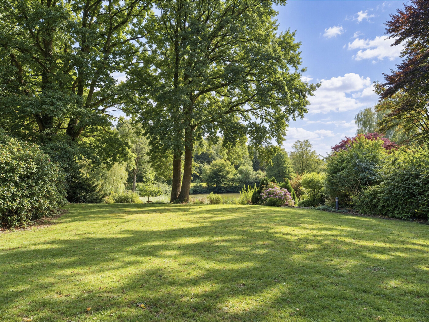 Blick in den Garten