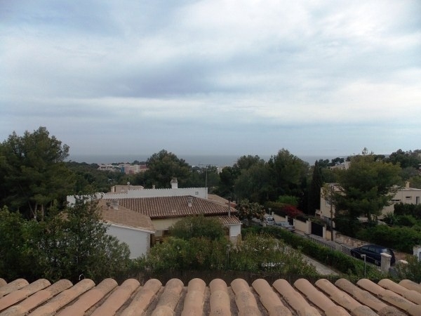 DSCN1382 DSCN1382