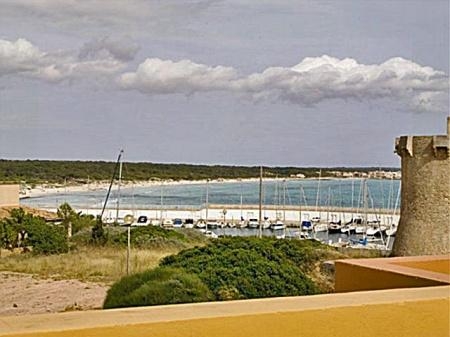 Vista Vista