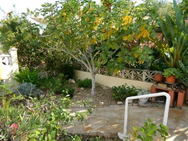 Immobilien Mallorca Immobilien Mallorca
