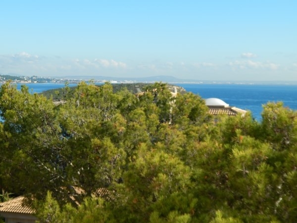 Aussicht Cala Vinyes