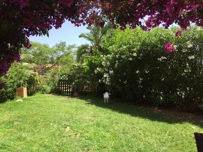 Garten Garten