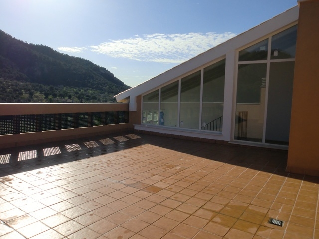 5Penthouse 5Penthouse
