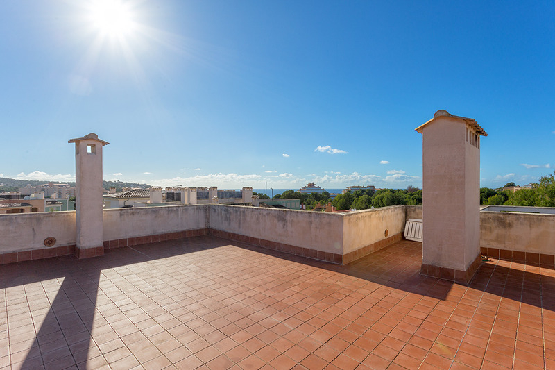 Penthause mit grosse Dachterrasse kaufen