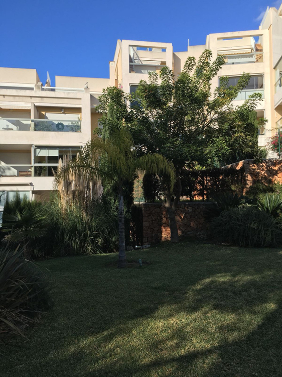 Terrassen Wohnung mieten Terrassen Wohnung mieten