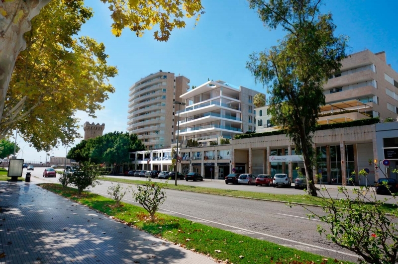 Buy apartment at the port of Palma