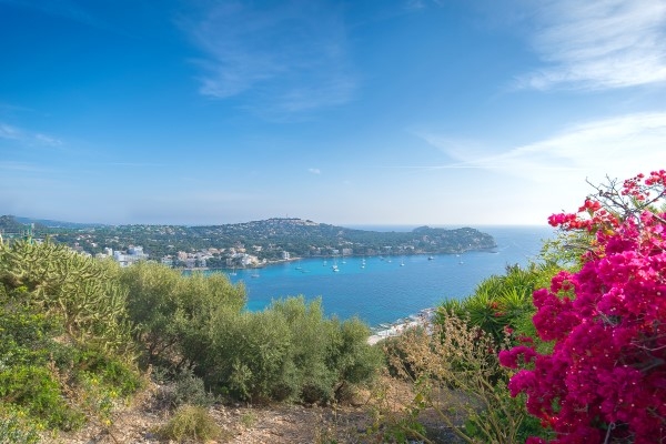 sea view plot sea view plot