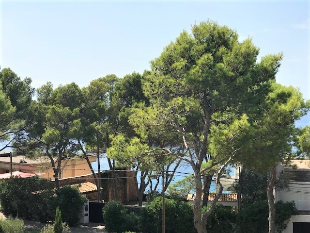 Meerblick Wohnung Meerblick Wohnung