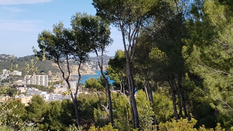 Meerblick 3 Meerblick 3
