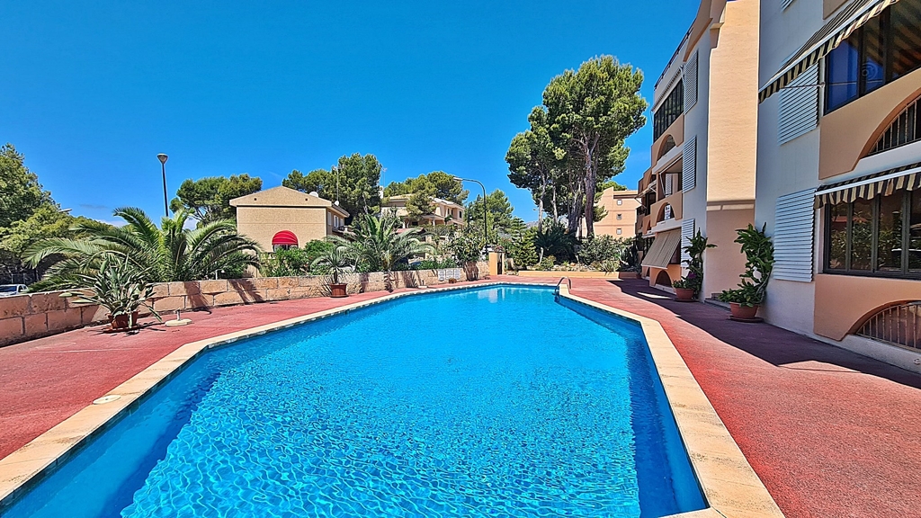 2 SZ mit Pool Paguera 2 SZ mit Pool Paguera