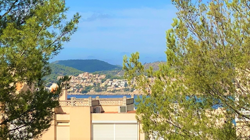kaufen Mallorca kaufen Mallorca