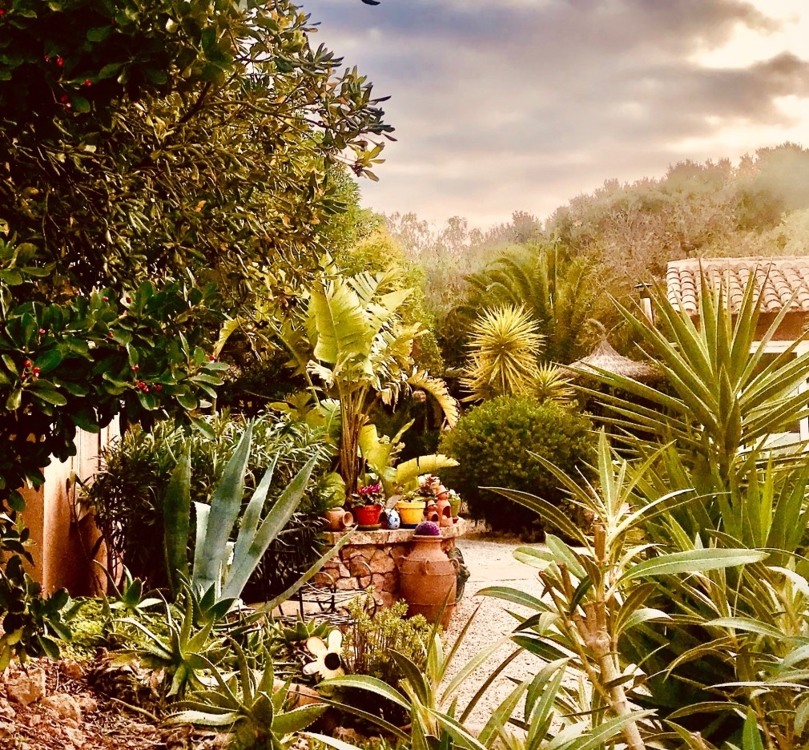 Mallorca investment Finca Mallorca investment Finca